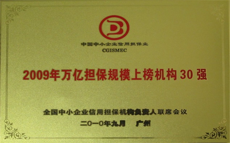 2009年萬(wàn)億擔(dān)保規(guī)模上榜機(jī)構(gòu)30強(qiáng) 2009年萬(wàn)億擔(dān)保規(guī)模上榜機(jī)構(gòu)30強(qiáng)