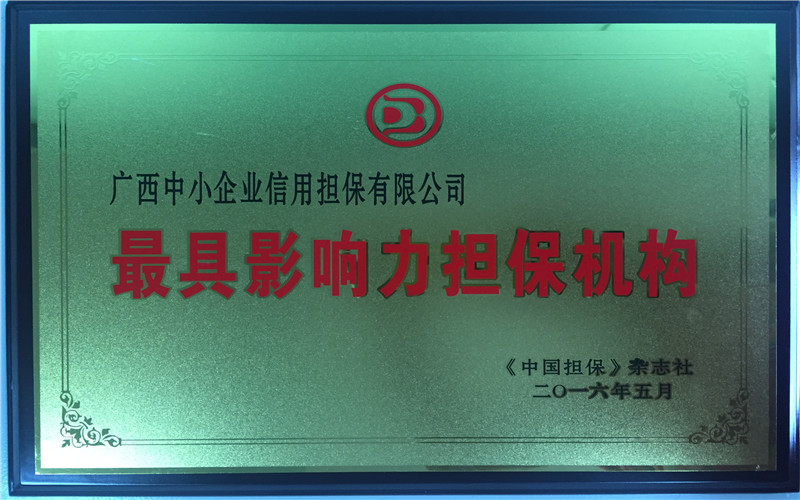 2016最具影響力擔(dān)保機(jī)構(gòu)擔(dān)保人IMG_6885